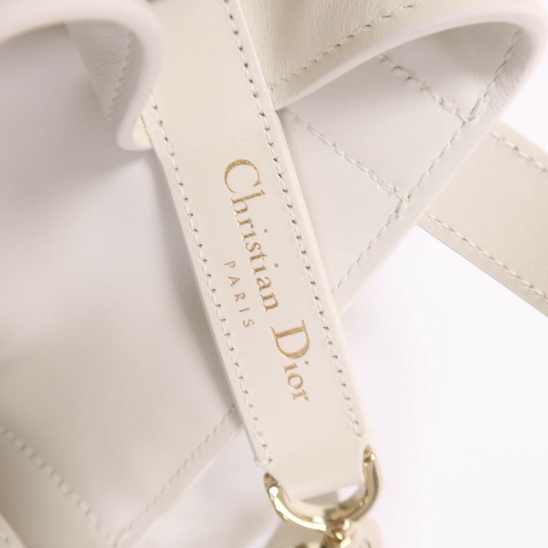 Dior 牛皮皮革Lucky Small Dior Toujours Vertical金扣手挽肩背兩用袋-15