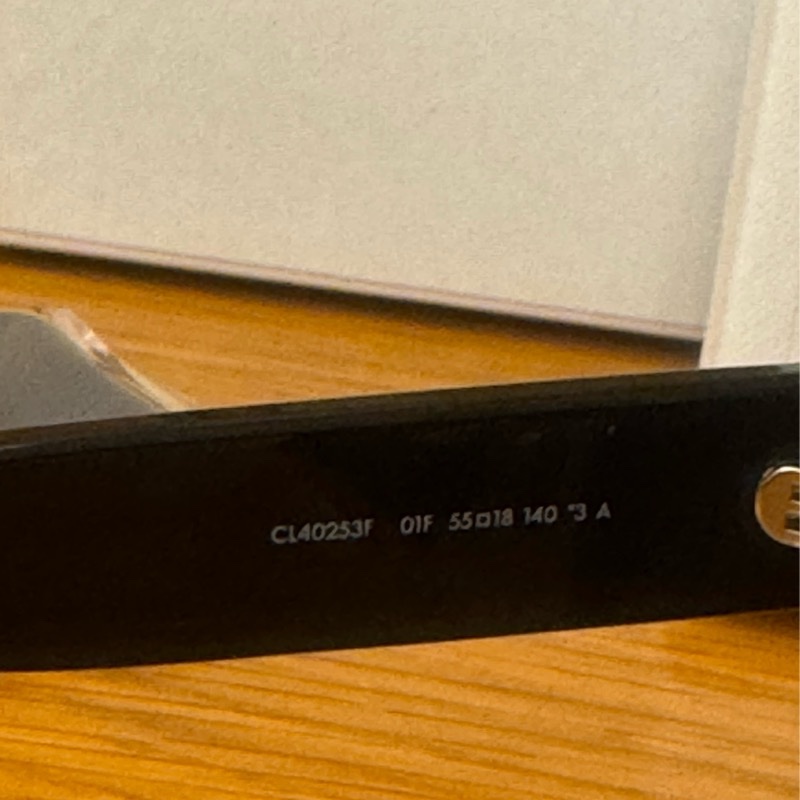 Celine 凱旋門logo墨鏡 全新-4