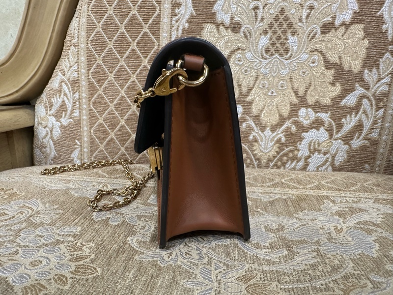 LV 雙色原花Dauphine金釦WOC斜背鏈包 M68746-3