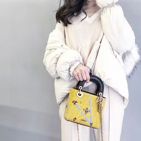 Dior蜜蜂刺繡三格黛妃包黃色金扣17*14*7 98新配件塵袋