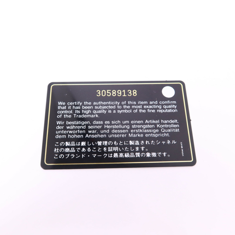 CHANEL 羊皮皮革Chanel 19 WOC手挽肩背兩用袋-10