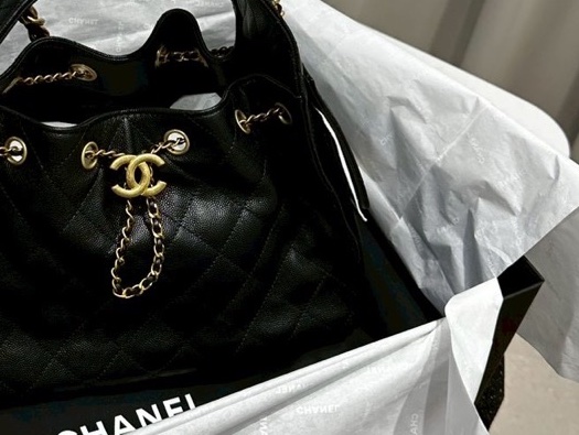 Chanel 25bag-1