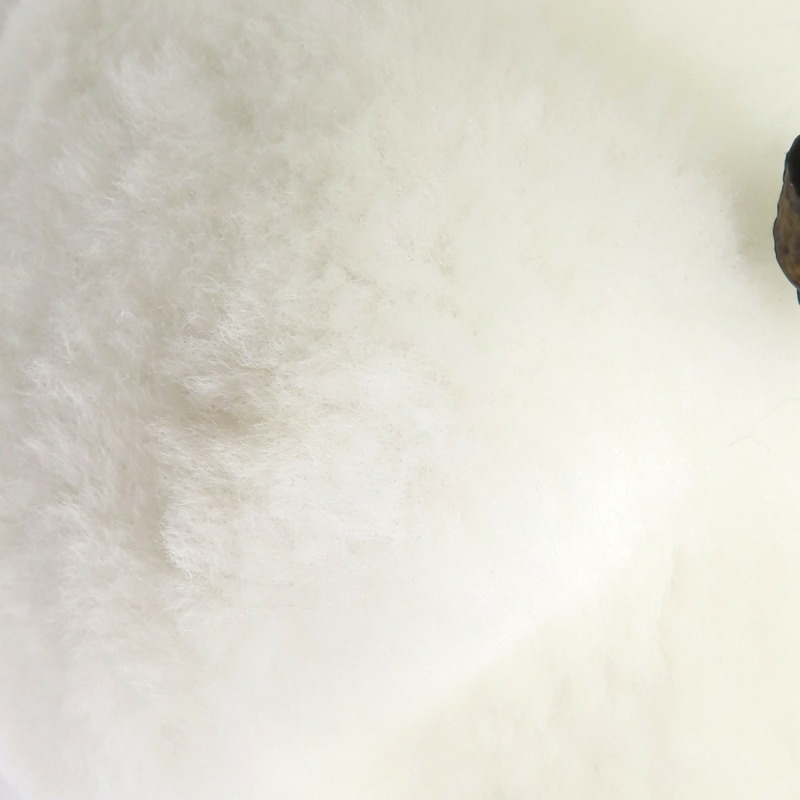 白色毛絨 棕色原花帆布 Viv-ified 後背包 兩用包【LOUIS VUITTON LV 路易威登】 M26246-10