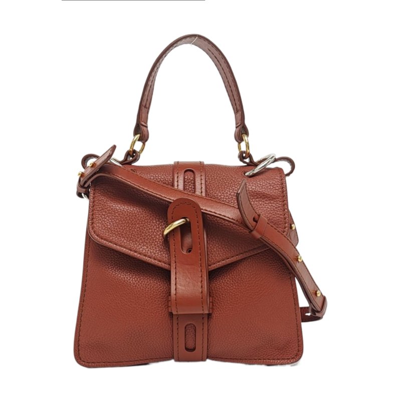 Chloe Aby小號棕色牛皮斜挎包手提包單肩包金色五金可拆卸肩帶-0
