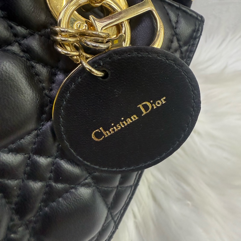 Christian Dior Lady Bag-5