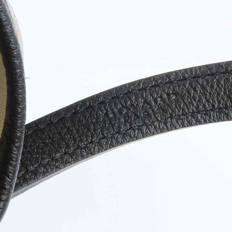 GOYARD 塗層帆布Chien Gris Bag銀扣肩背袋/手挽袋-5