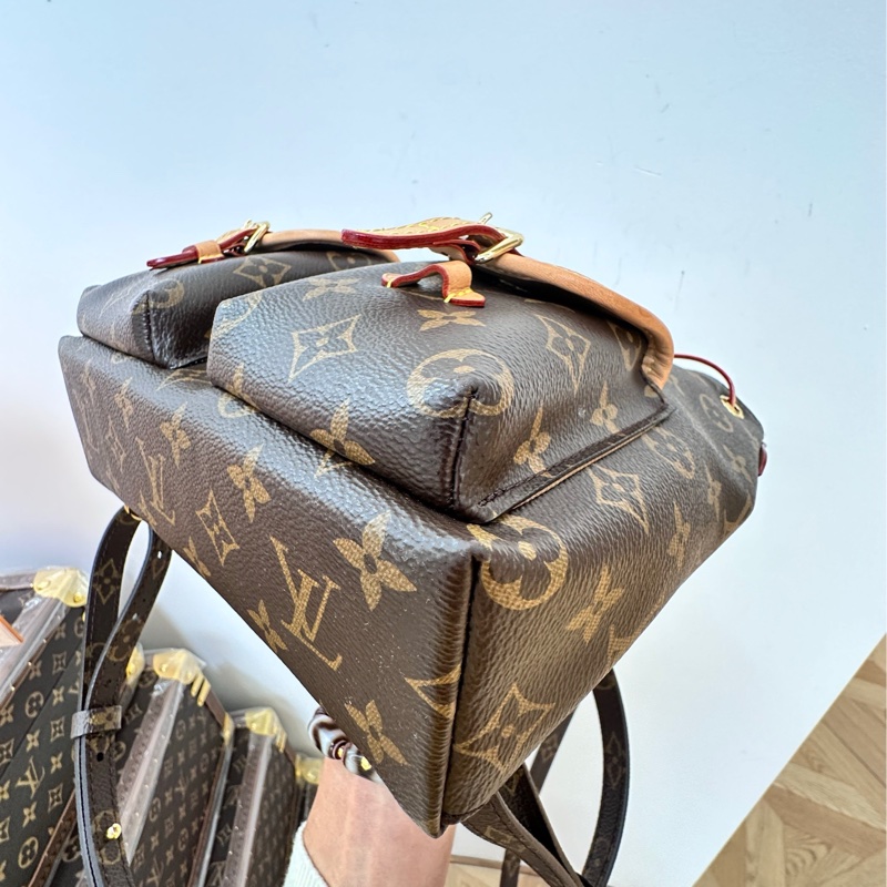 Louis Vuitton excursion pm 青蛙雙肩背包-11