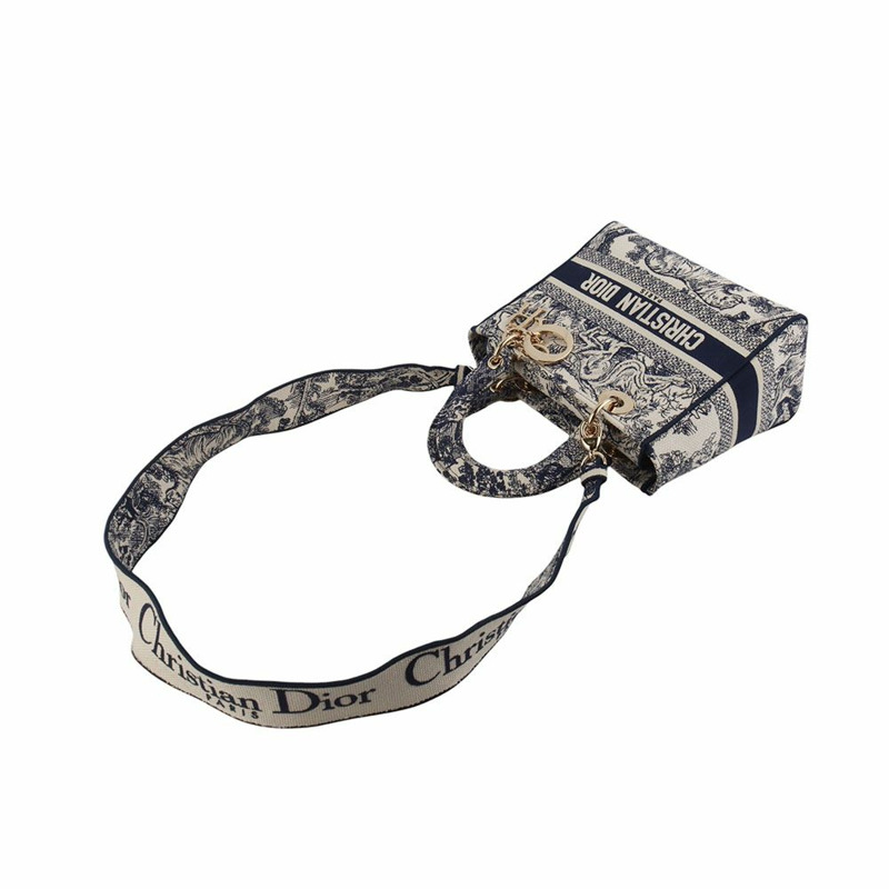 【包稅】DIOR M0565OTDT 刺繡女士中型包-3