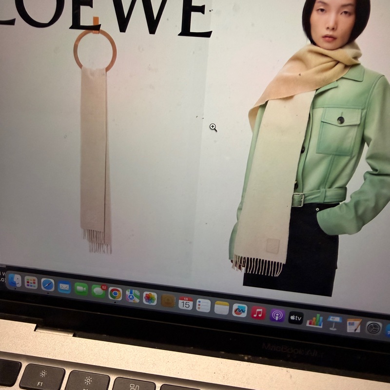 Loewe 雙色圍巾-7
