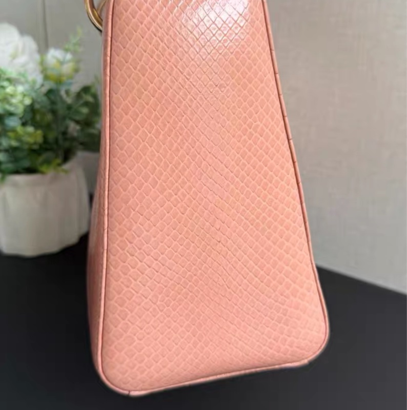 【1萬預算背出10萬效果✨ 喜馬拉雅揀漏!】Dior戴妃稀有皮五格-4