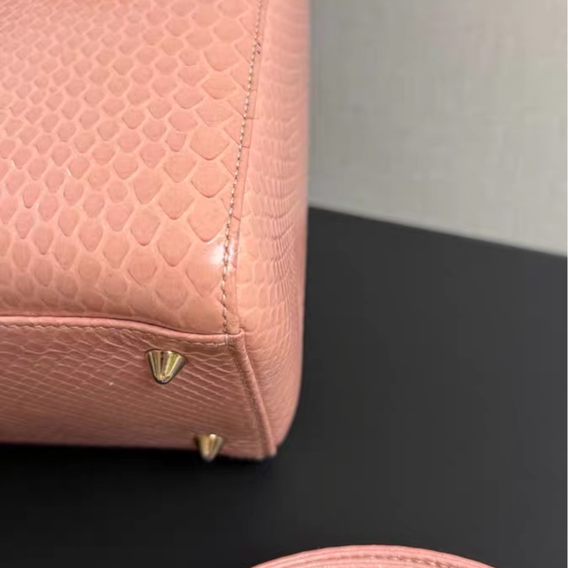 【1萬預算背出10萬效果✨ 喜馬拉雅揀漏!】Dior戴妃稀有皮五格-6