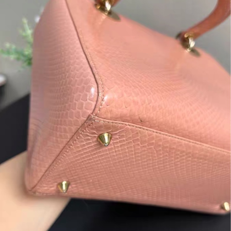 【1萬預算背出10萬效果✨ 喜馬拉雅揀漏!】Dior戴妃稀有皮五格-7