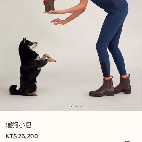 愛馬仕 可以裝小水壺 小包