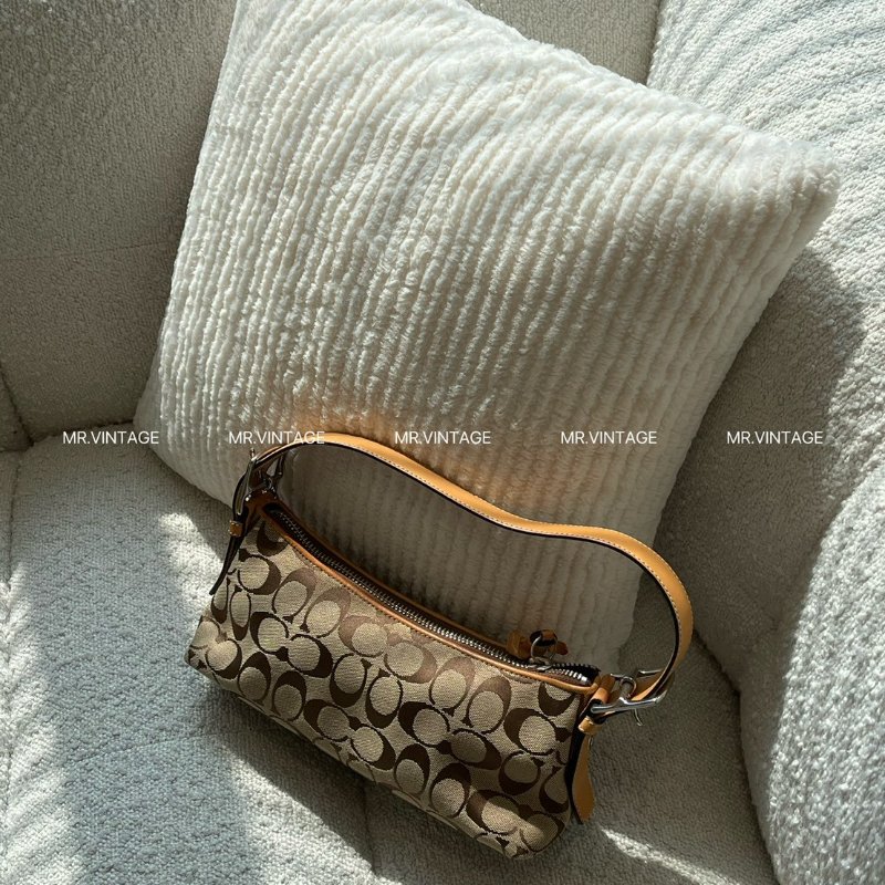 🏷Coach碗豆包-1