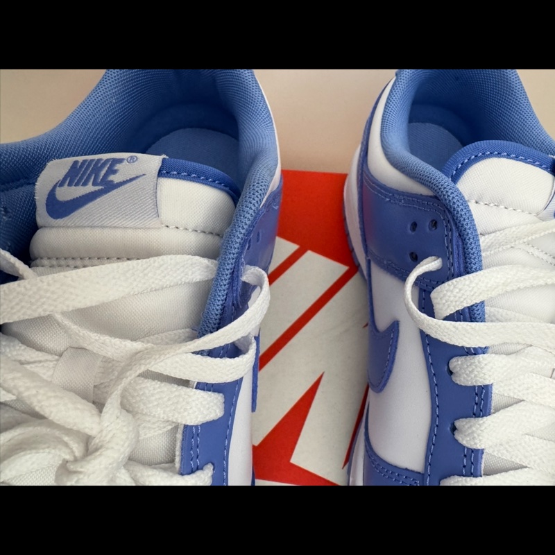 [全新］Nike Dunk Low-6