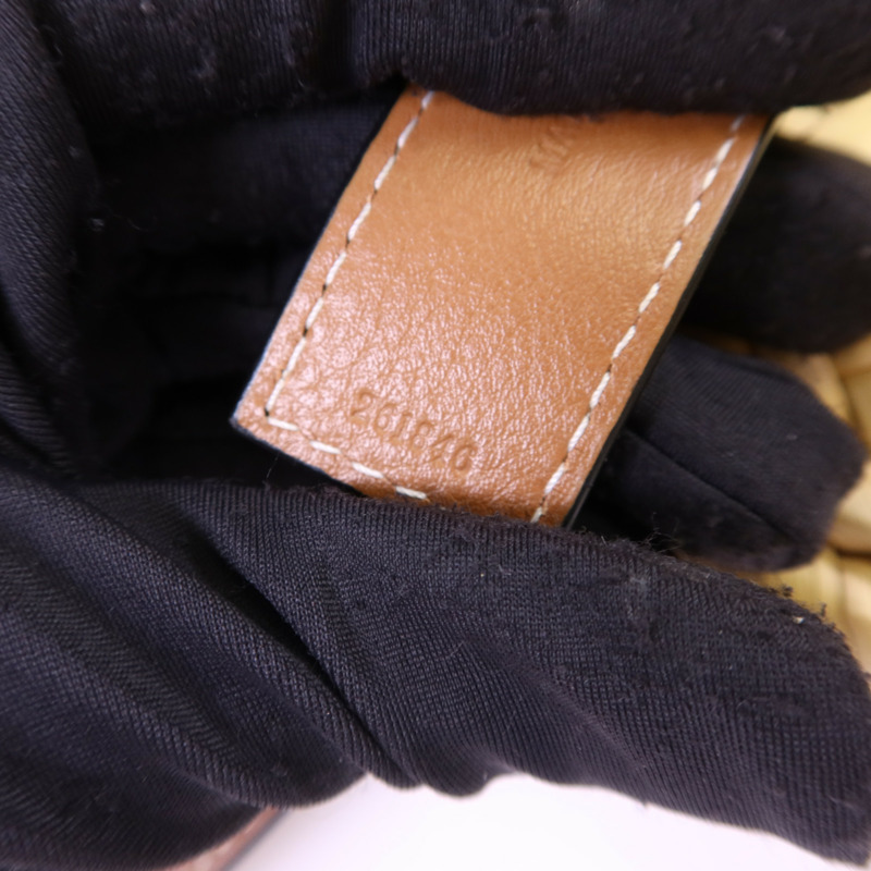 LOEWE Raffia/牛皮皮革Small Basket銀扣肩背袋-9