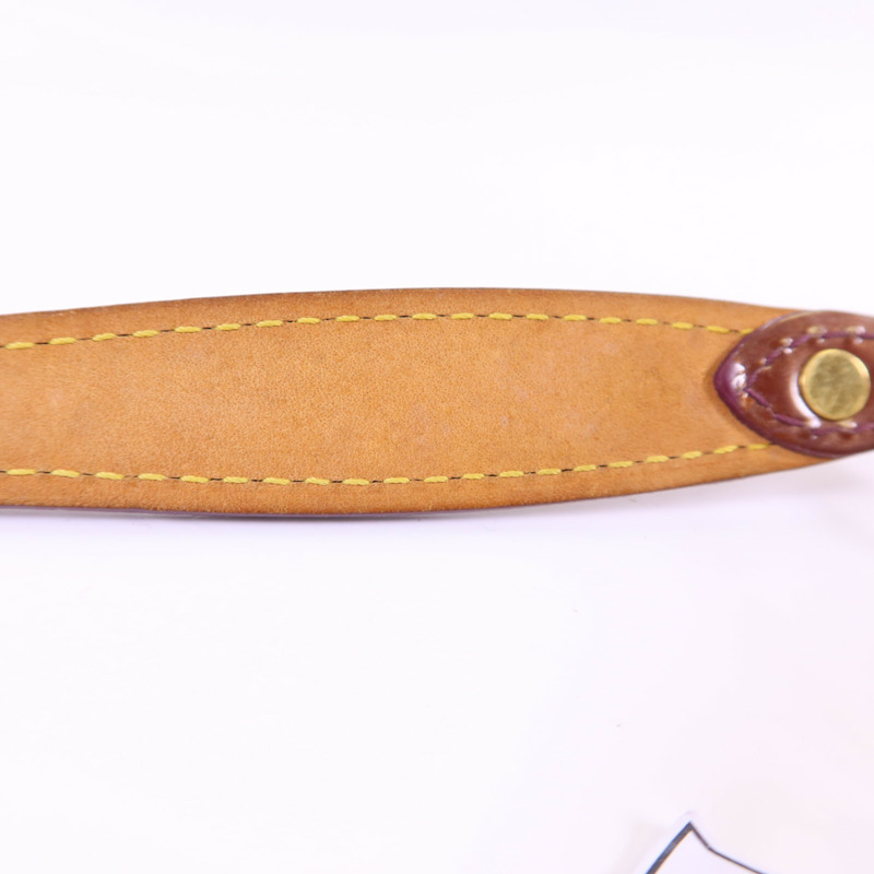 LOUIS VUITTON Vernis Sunset Boulevard金扣肩背袋-17