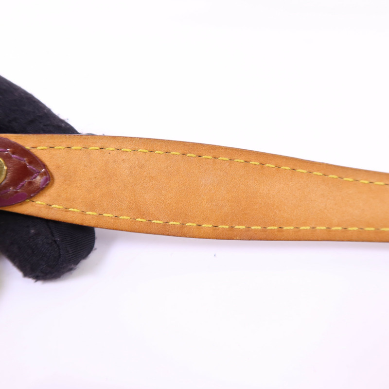 LOUIS VUITTON Vernis Sunset Boulevard金扣肩背袋-18