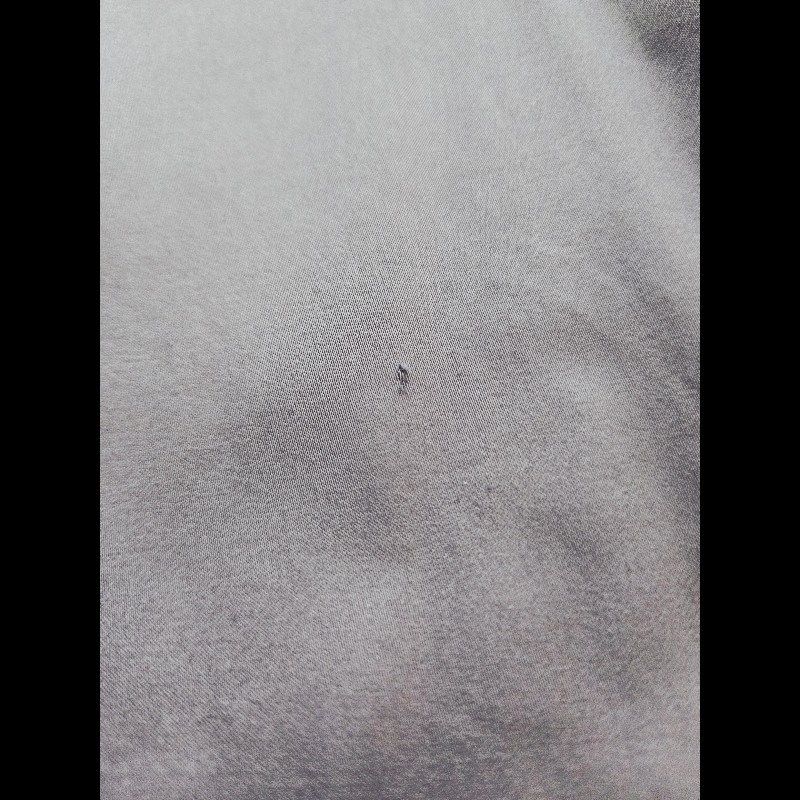 Coach 紫色風衣-11