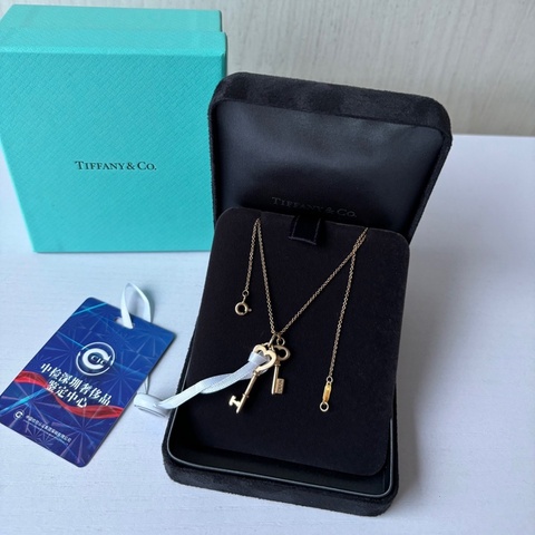 Tiffany & Co. 項鍊