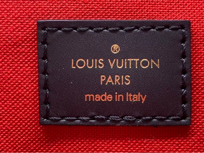 99新路易威登 Lv one the go拼色老花大號芯片-7