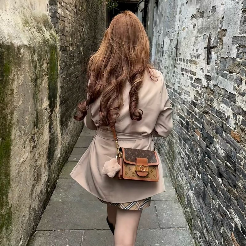 LOUIS VUITTON Dauphine達芙妮單肩包 - mini-1