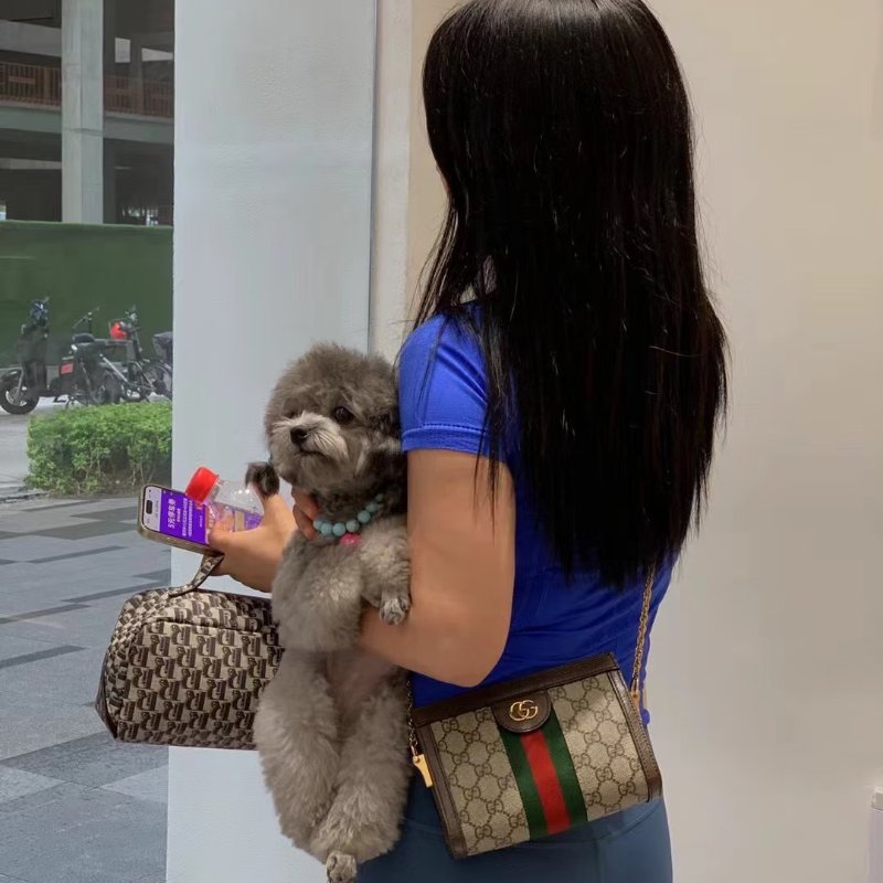 GUCCI Ophidia紅綠織帶夾子包- mini烏木色-1