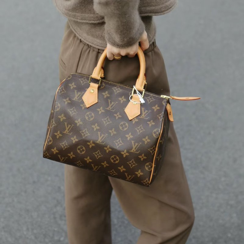 🏷LV 路易威登．Speedy25 老花波士頓-26