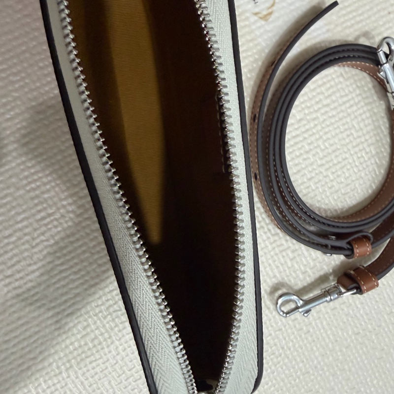 Celine Triomphe 小相機包-8