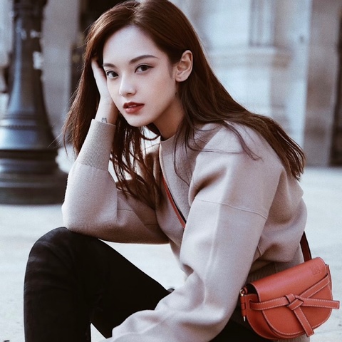 LOEWE gate馬鞍肩背斜背包21*13*9 98新配件塵袋