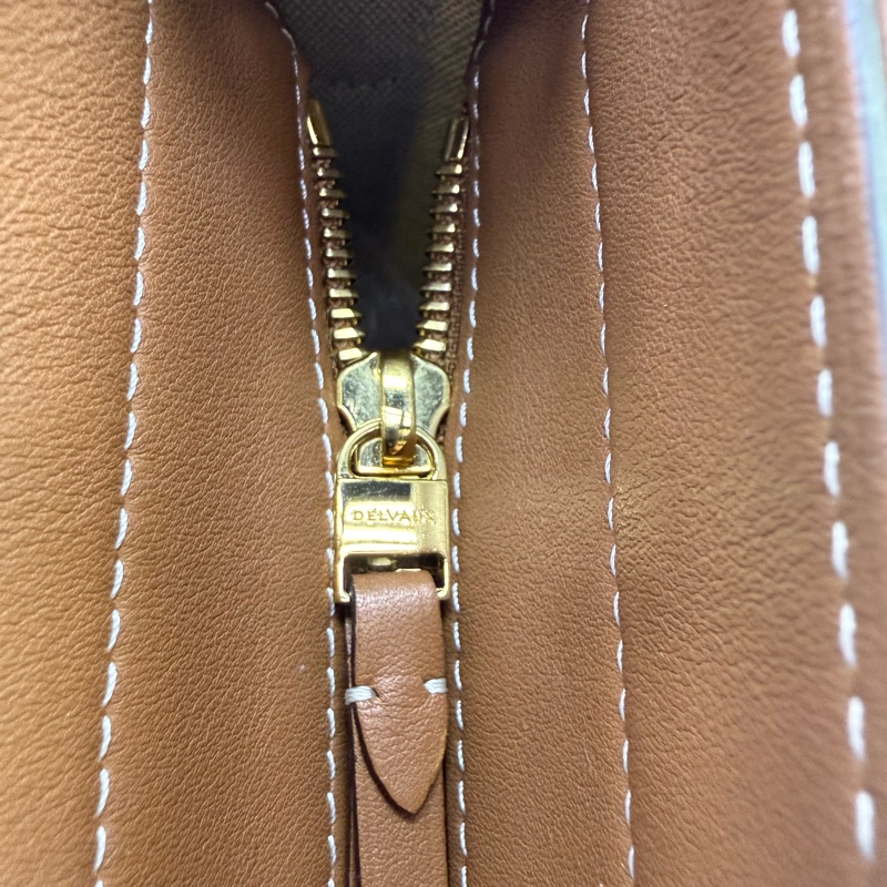 Delvaux Pin Bag-20