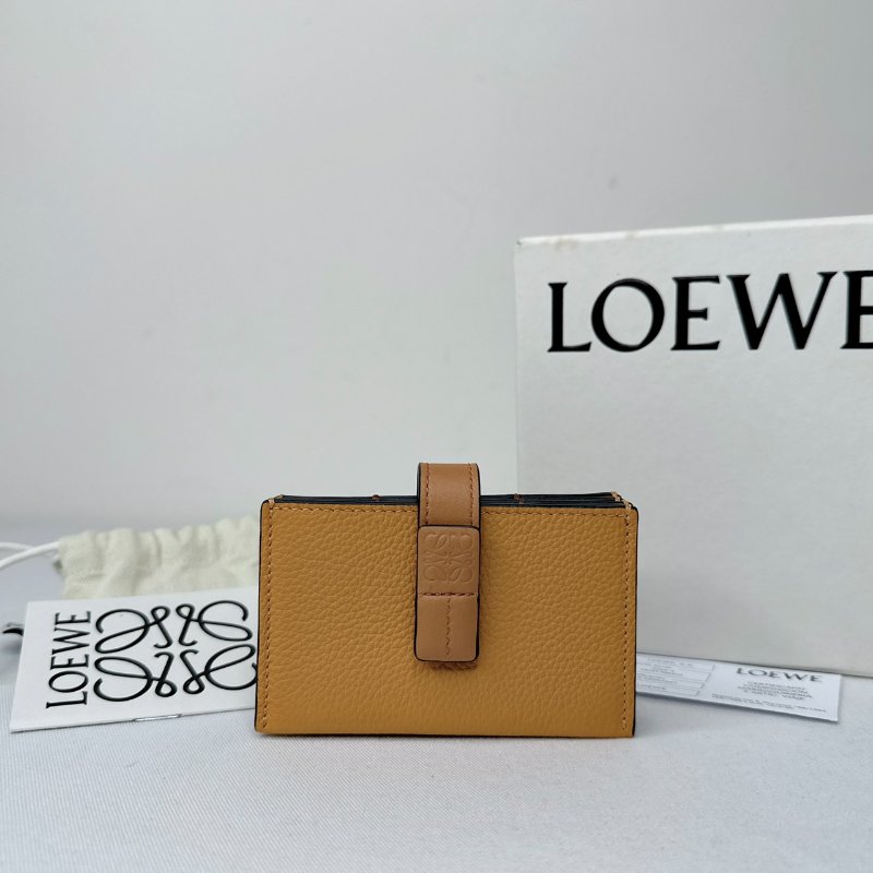 LOEWE 風琴式卡片收納包-0