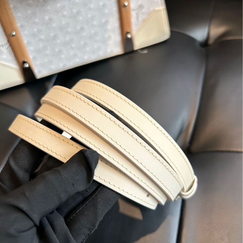 【全新品閒置🆕】 Goyard Saigon PM 硬箱包 極難入手款 （代購賣20萬）-22