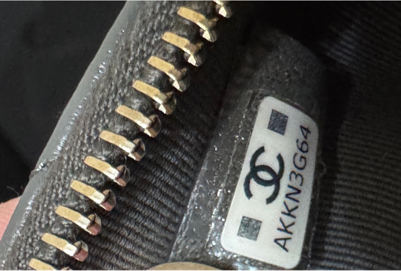 Chanel 全新飯盒包-20