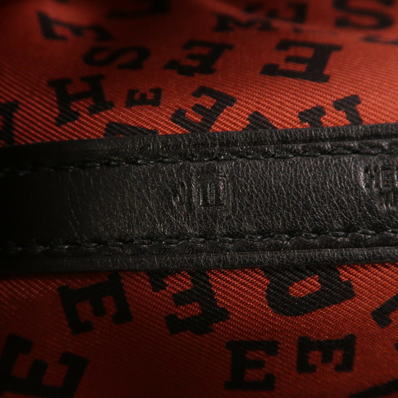 HERMES Swift皮革Twilly Garden Party TPM手挽袋Noir-6