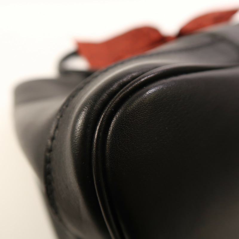 HERMES Swift皮革Twilly Garden Party TPM手挽袋Noir-9