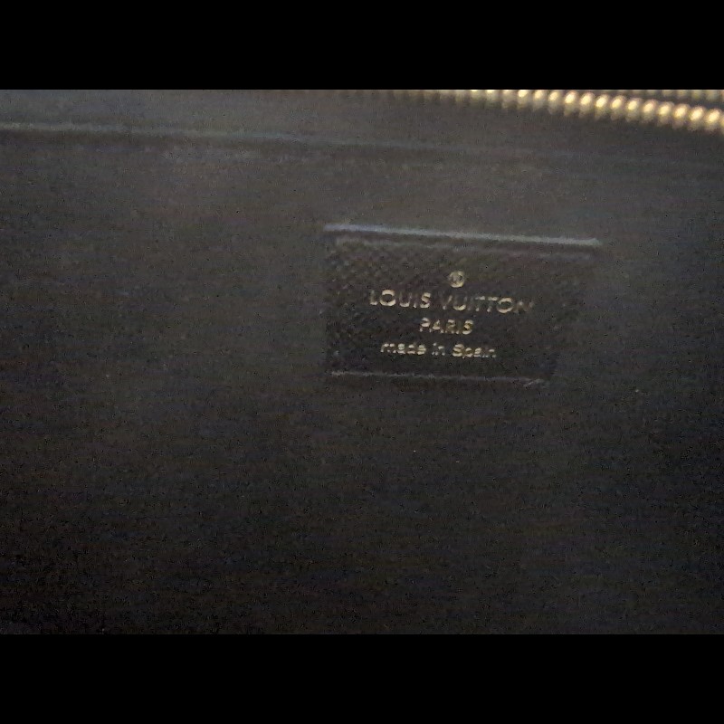 LV雙拉鍊叢林印花手提、側背包-8