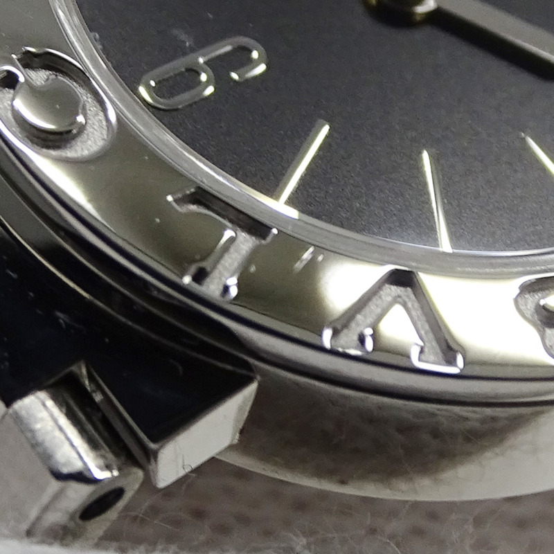 寶格麗女士石英腕錶，QZ系列不鏽鋼錶殼，SS，BB23S，銀/黑色，拋光，圓形錶盤-11