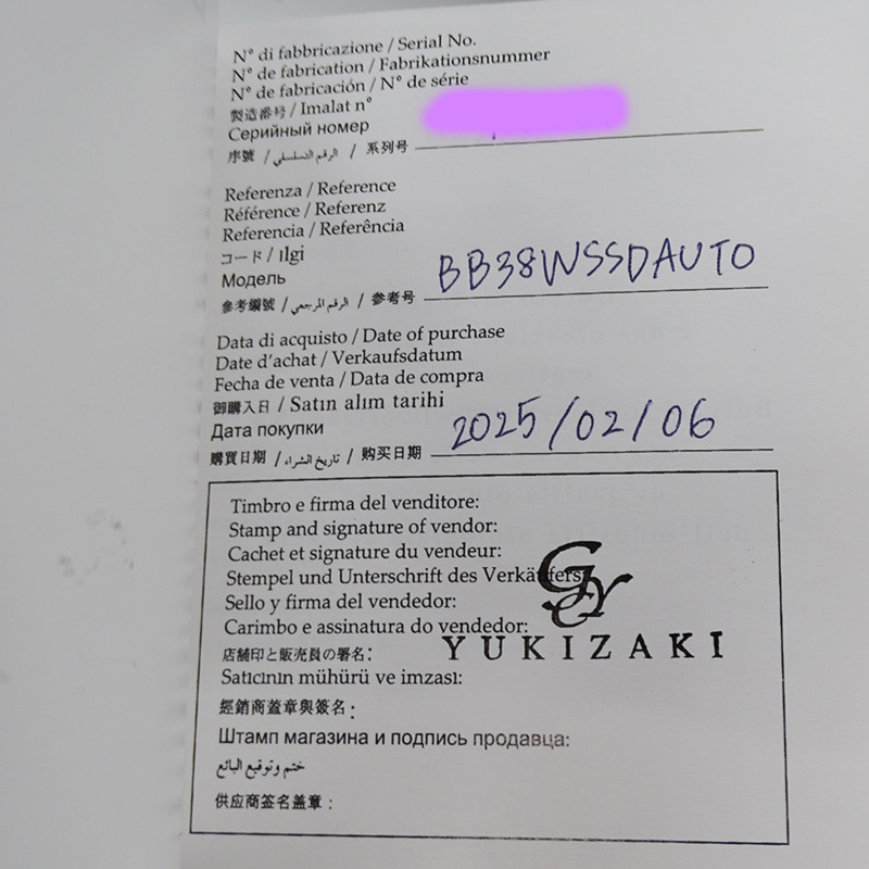 寶格麗男士腕錶，日期顯示，自動機械，不銹鋼材質，BB38SS，拋光銀色-7