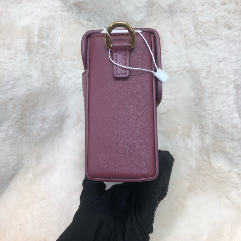 Dior 棗紅色蒙田相機袋  XC195-2