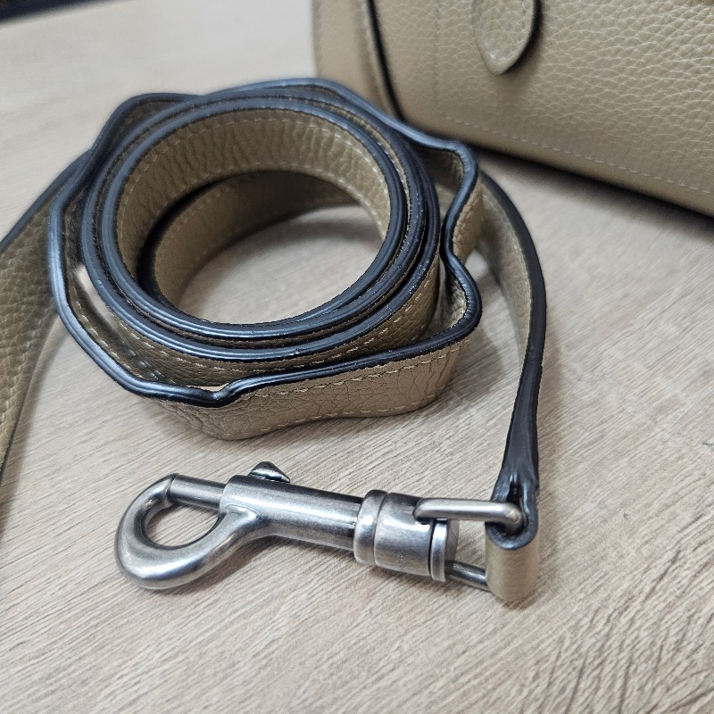 [高CP好物❣️平台最甜價帶回家] Celine沙丘色牛皮霧銀釦Luggage Nano手提斜背包-25