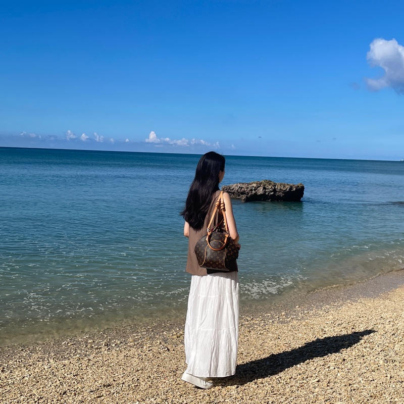 LV Ellipse PM河蚌包 手提包-2