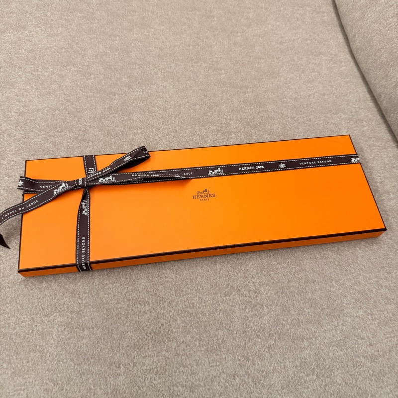 Hermes 領帶-9