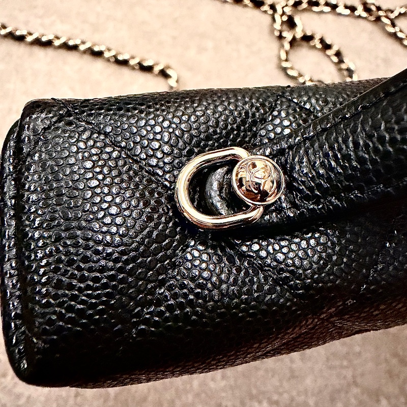 Chanel 化妝包 LP飯盒包-20