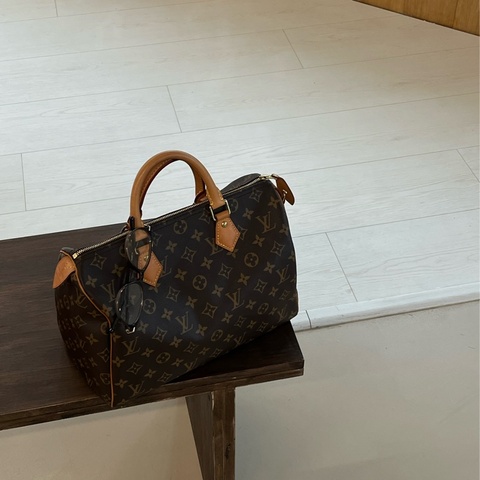 🏷️ Louis Vuitton speedy 30(芯片款）