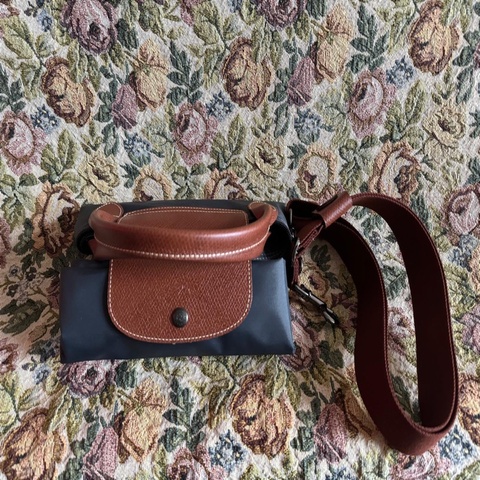 Longchamp L size