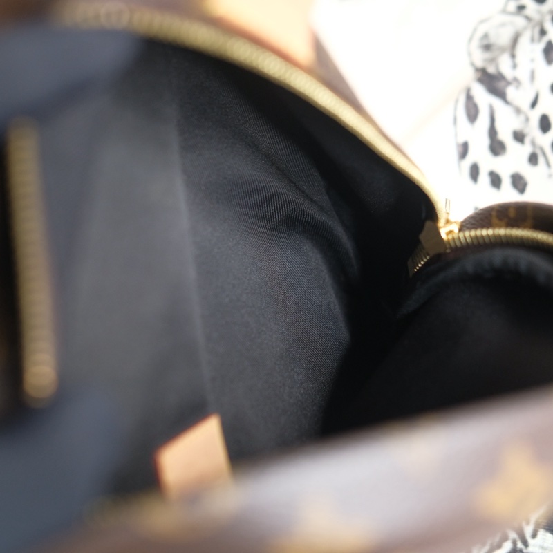 Louis Vuitton 老花胸口包 腰包-19