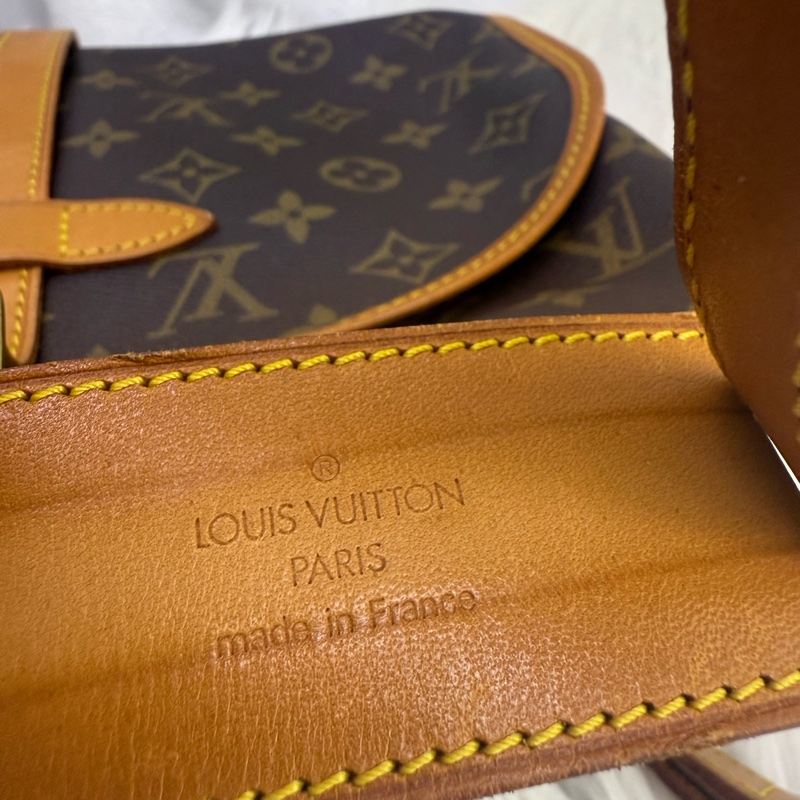 Louis Vuitton Saumur Bag-14