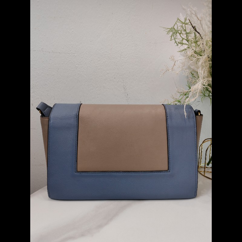 Celine Frame Bag-1