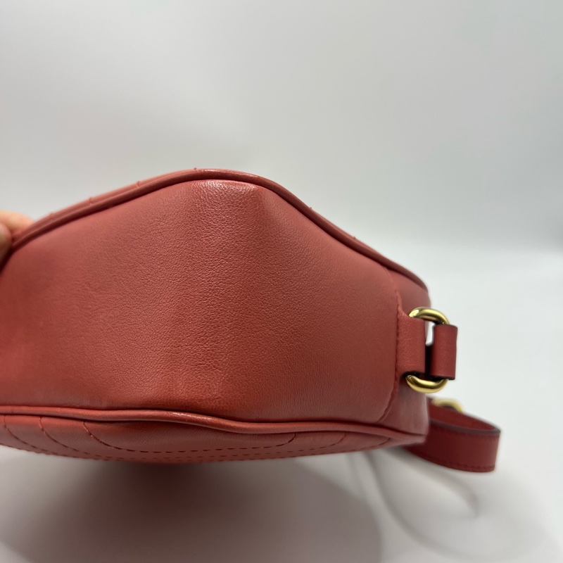 Gucci 新款 Blondie流苏相机包 粉色 全皮 双G大logo 尺寸21 16 容量大 复古时尚 男女都可以背  肩带可以调节-3